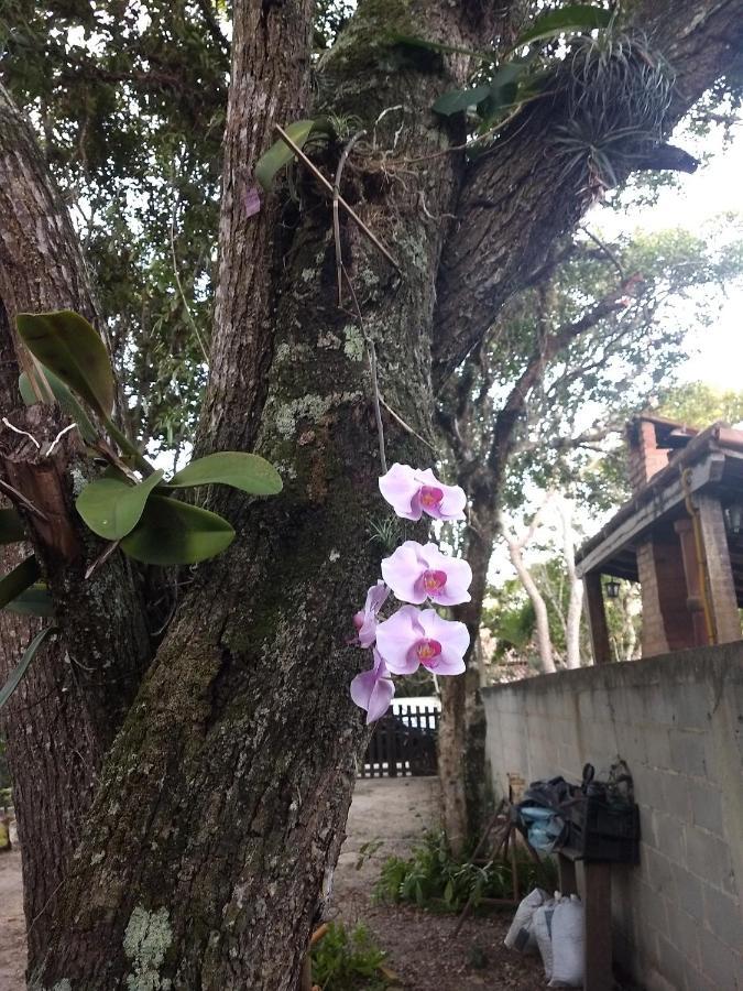 Casa Das Orquideas Arraial do Cabo Exterior foto